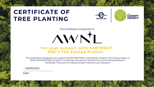 certificate of supporting the Invest in our planet