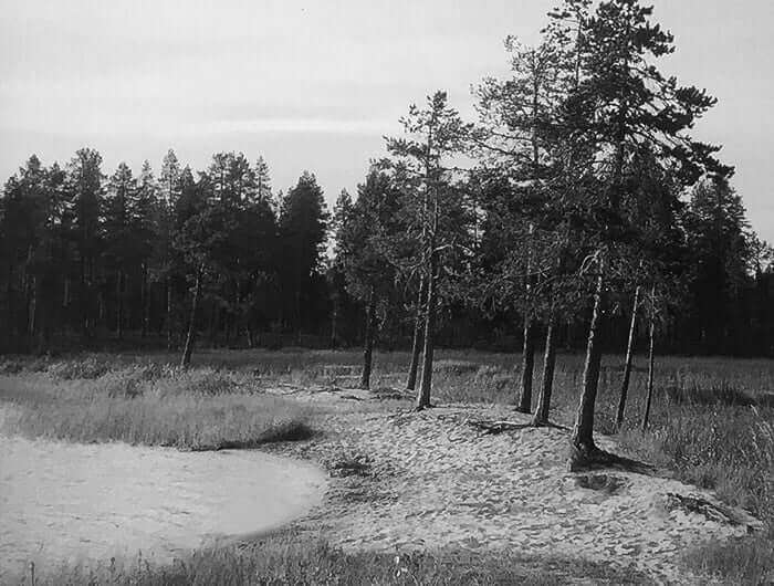 the Swedish-Finnish border. Muonio River