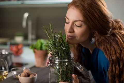 L'eau de Romarin : une solution naturelle aux multiples bienfaits