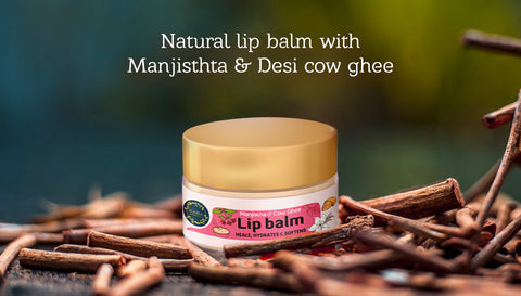 Manjishta & Cow Ghee Lip Balm Blog Image - 2