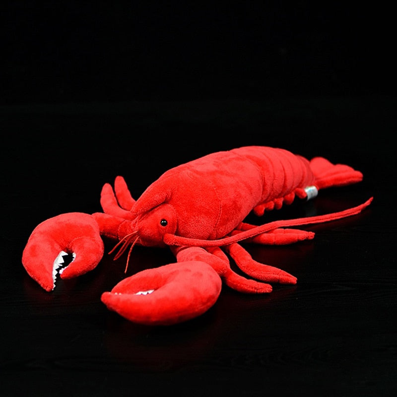 small stuffed lobster toy