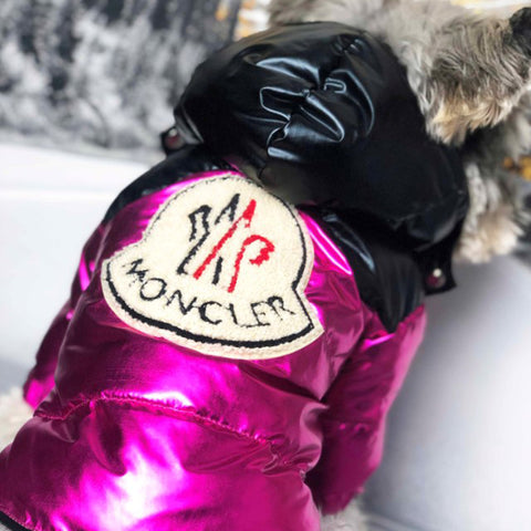 Veste pour chien Moncler