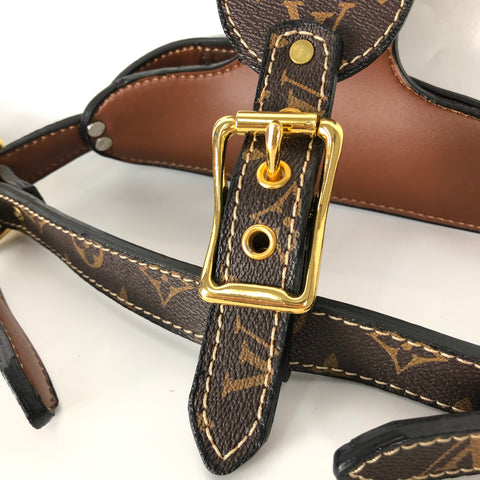 collier pour chien louis vuitton