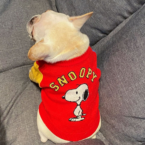 Pull pour chien SNOOPY