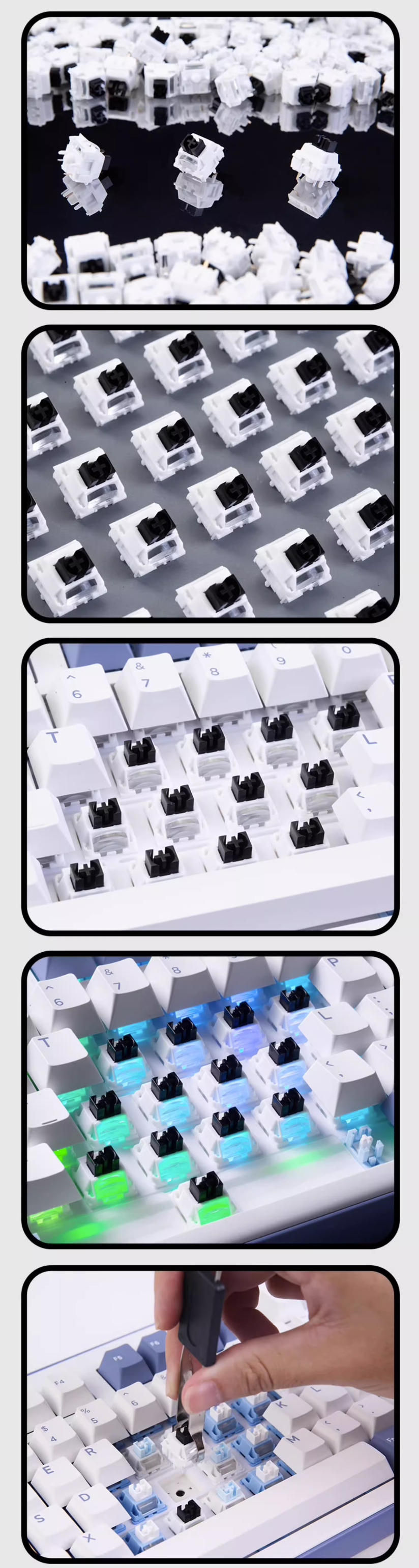 DAREU x Kailh Master Switches