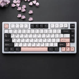 VGN VXE75 Aluminium Mechanical Keyboard as variant: PVD White / BOX Ice Berry Cream Pro