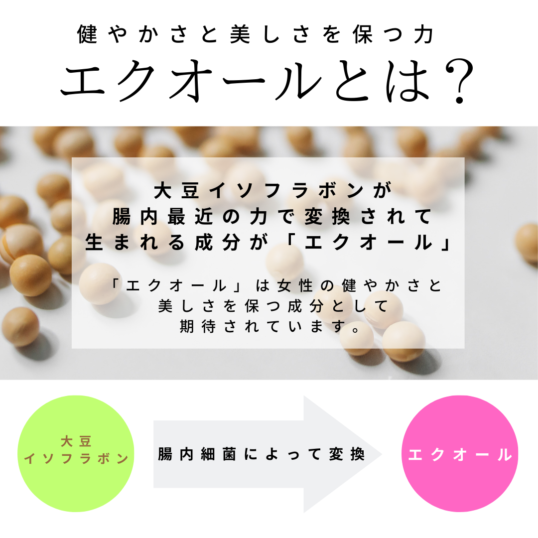 食品/飲料/酒大塚製薬 エクエル パウチ 120粒30日分 ×6袋 - excelbilearn.com