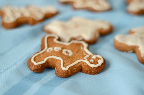 Gluten-Free Gingerbread Cookies with Camu Camu