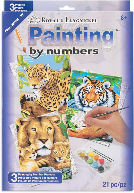 Limerick Ireland - NEW Paint By Number - Paint by numbers for adult