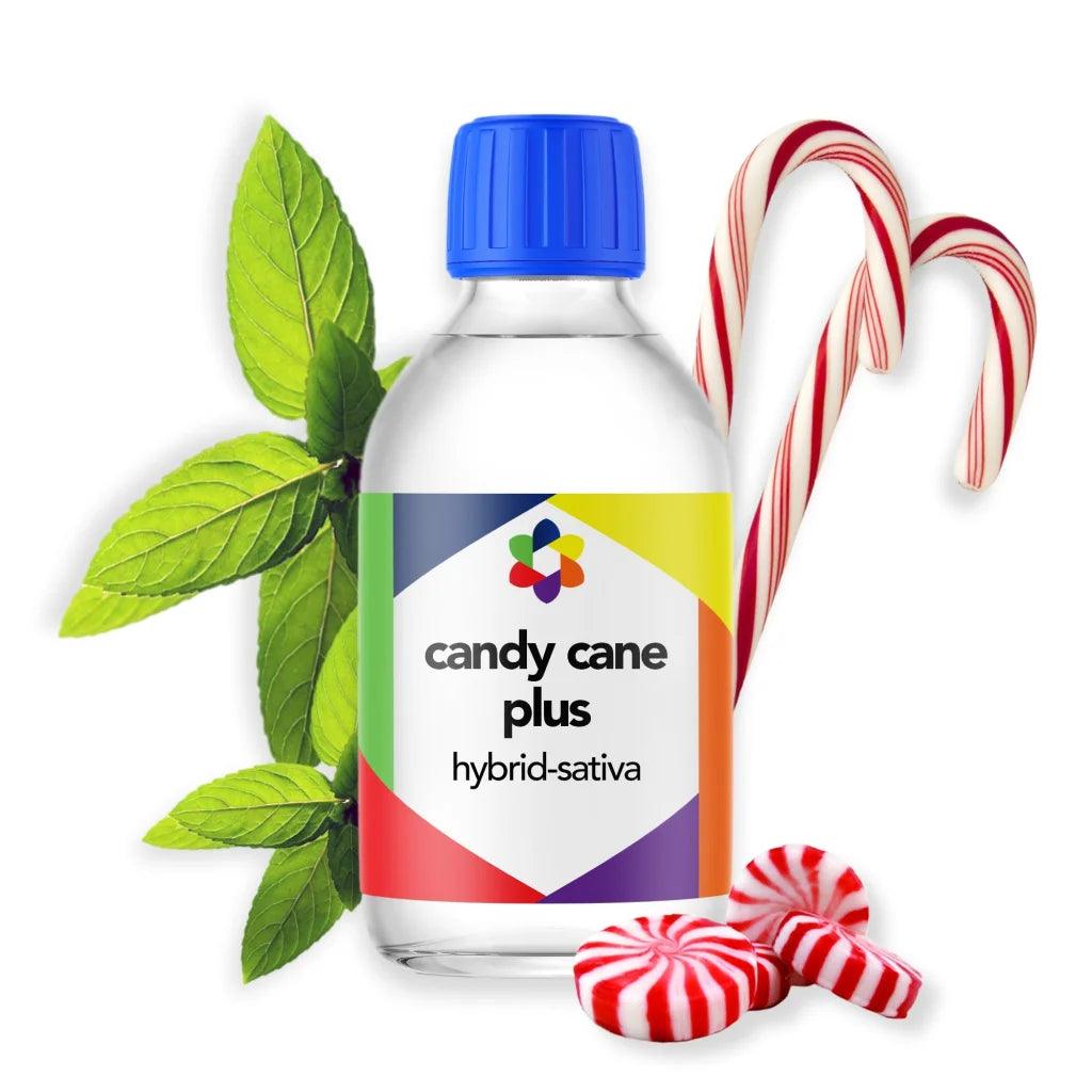 CANDY Cane Plus + Terpene Blend