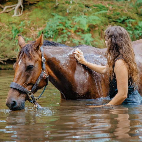 Plastic free shampoo bar being used on horse in a creek