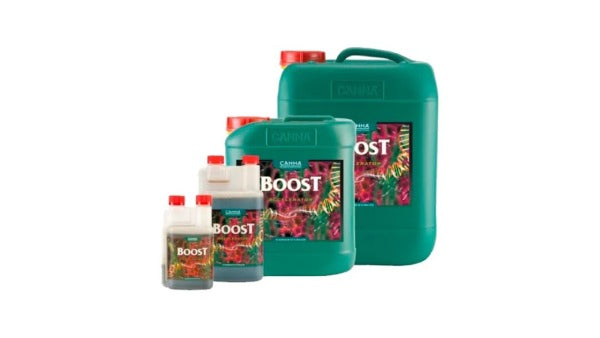 Boost Accelerator de Canna