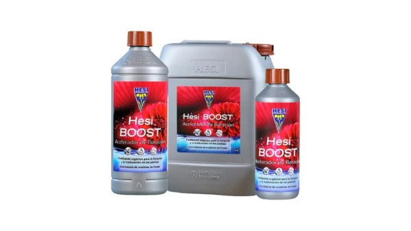 Boost de Hesi