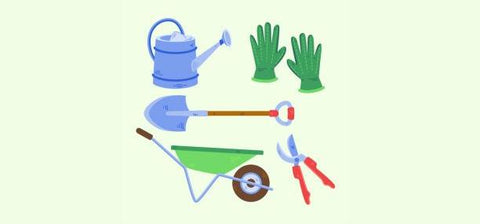 flatart of growing tools with a mint green background
