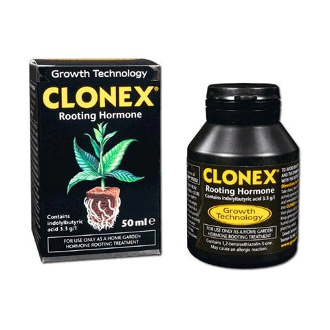 enracinement clonex