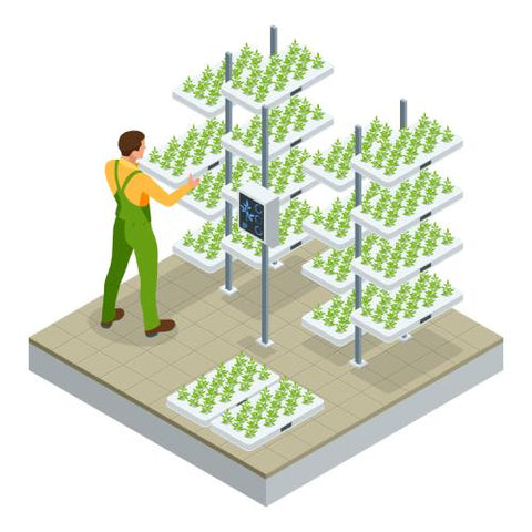 vector drawing of a person and a vertical hydroponic crop