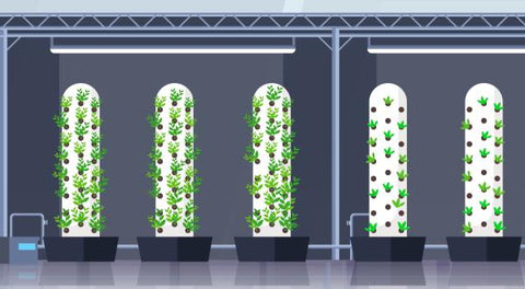 vertical farming vector drawing