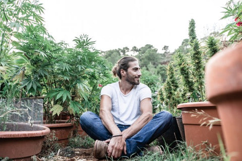 homme souriant à côté de pots de marijuana