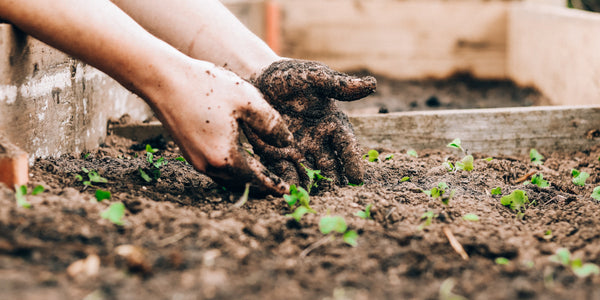 Gifts For Gardeners