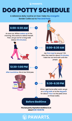 Dog Potty Schedule