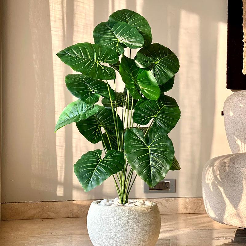 Buy Ambrosia Artificial Pothos Plant Without Pot - 3.6 Feet Artificial Plants from Vaaree