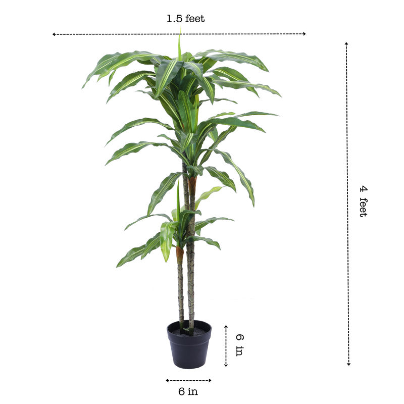Buy Faux Realistic Dracaena Plant With Black Plastic Pot - 3.9 Feet Artificial Plants from Vaaree