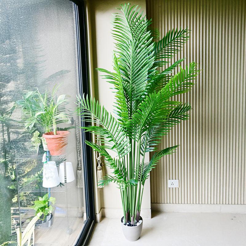 Buy Palmera Artificial Areca Palm With Pot Artificial Plants from Vaaree