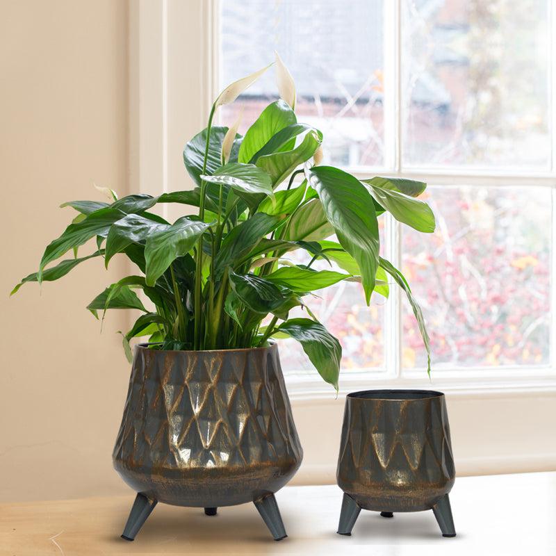 

Cosma Metal Planter (Grey) - Set Of Two