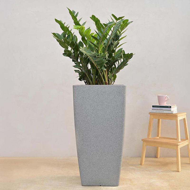 Buy Ugaoo Lava Bloc Plastic Planter - Grey Pots & Planters from Vaaree
