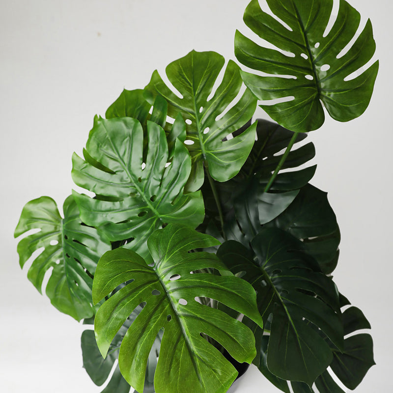 Buy Faux Everlasting Monstera Plant With Pot - 2.5 Feet Artificial Plants from Vaaree