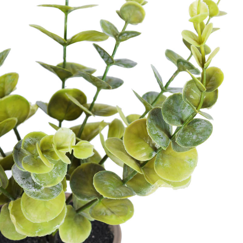 Buy Artificial Eucalyptus Branch With Pot - 1 Feet Artificial Plants from Vaaree