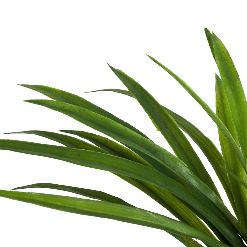 Buy Artificial Dracaena Plant With Plastic Pot - 1 Feet Artificial Plants from Vaaree