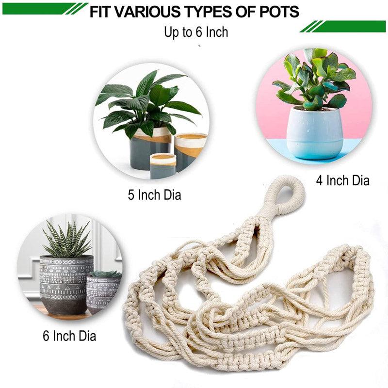 Buy Grelita Macrame Planter Pots & Planters from Vaaree