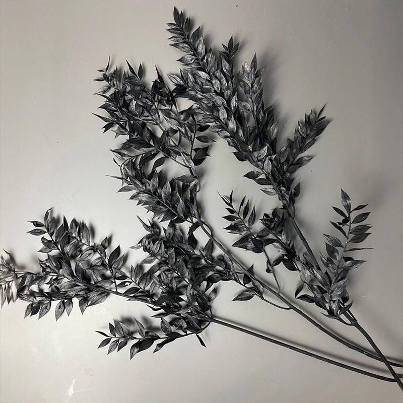 Buy Dried Ruscus Bunch (Black) - Set Of Fifty Artificial Flowers from Vaaree