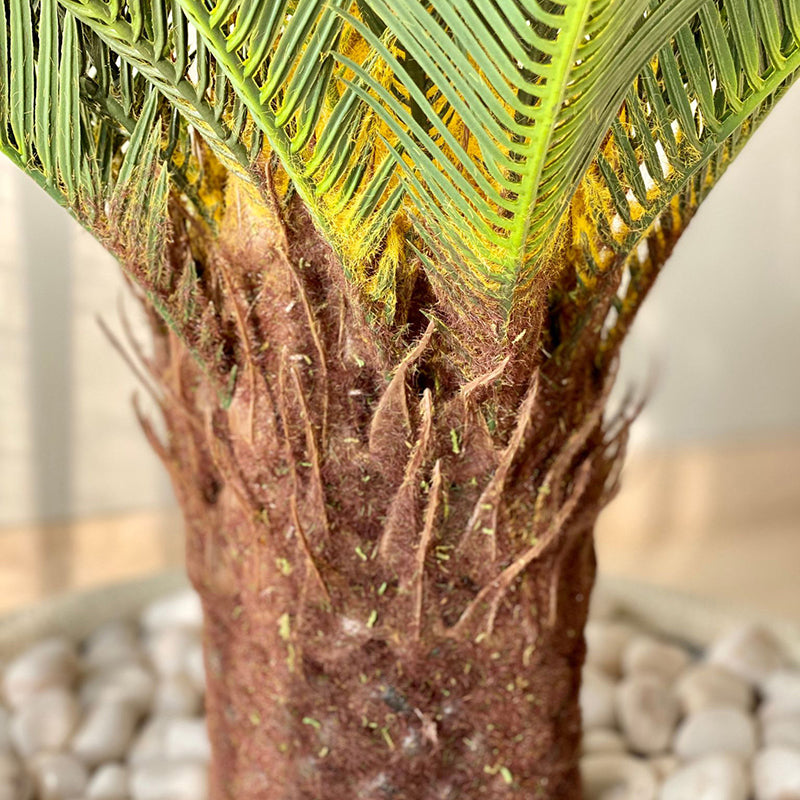 Buy Cycadia Artificial Cycas Palm Without Pot - 3.5 Feet Artificial Plants from Vaaree