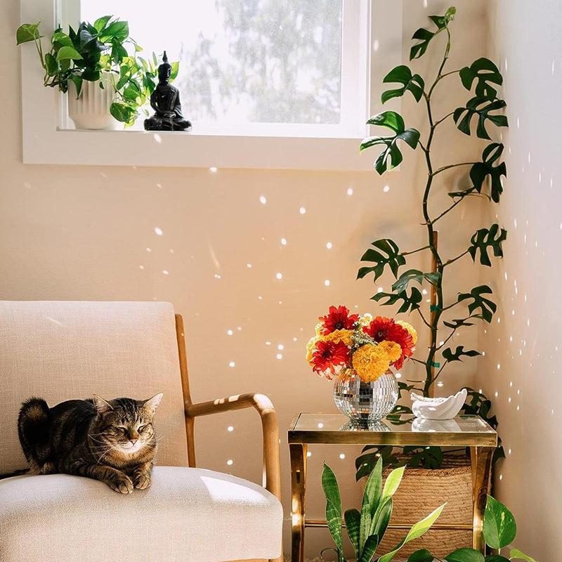 Buy Hadassa Disco Planter Pots & Planters from Vaaree