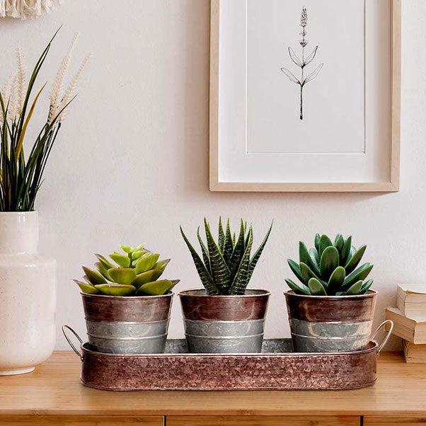 Top 6 Decorative Pots for Indoor Plants | Vaaree