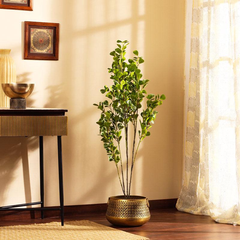 Buy Faux Realistic Schefflera Plant With Black Plastic Pot - 3.9 Feet Artificial Plants from Vaaree