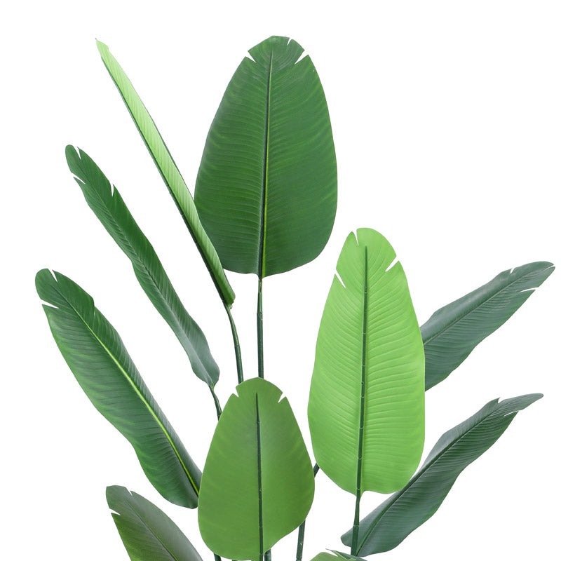 Buy Faux Realistic Banana Tree With Black Plastic Pot - 4.9 Feet Artificial Plants from Vaaree