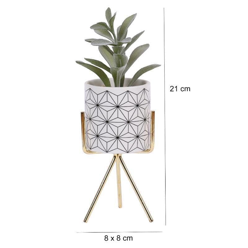 Buy Faux Succulent In Minimalist Pot With Tripod - 23.5 cms Artificial Plants from Vaaree