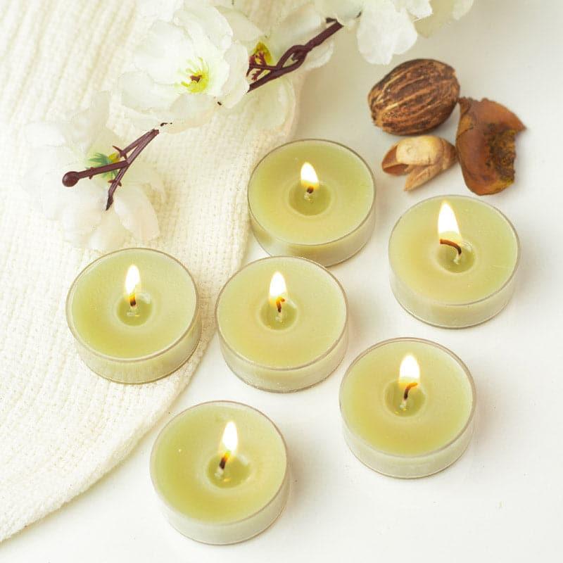 

Milo Lime Basil & Mandarin Scented Tealight Candle - Set Of Twelve, Green