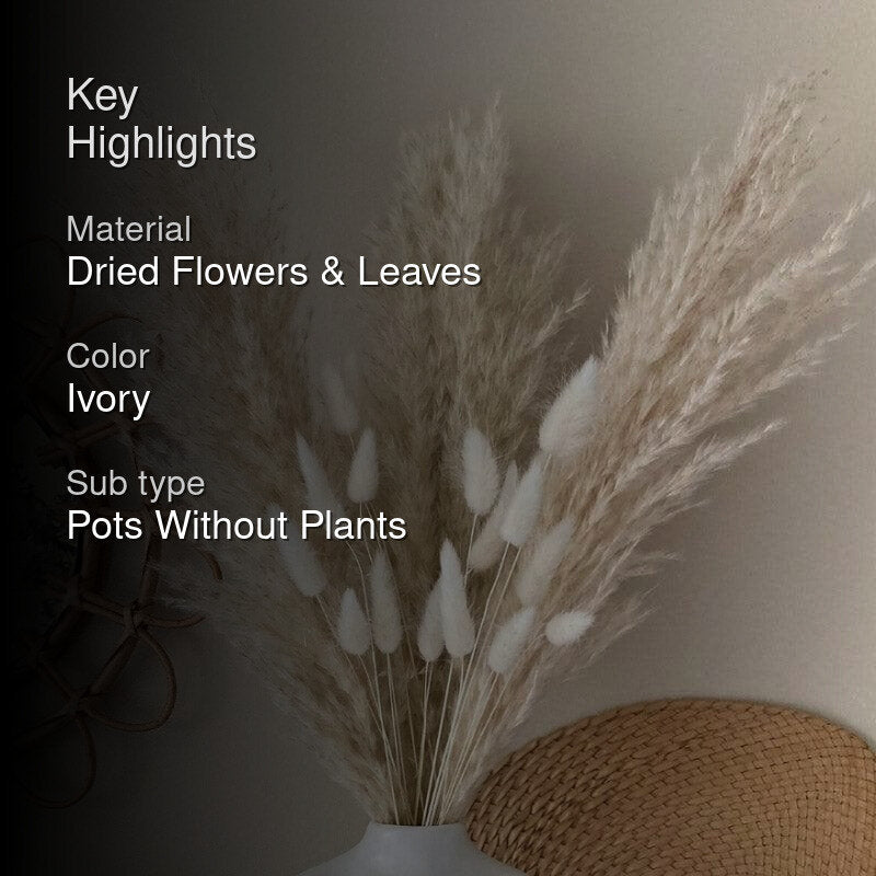 Missing Alt Text!