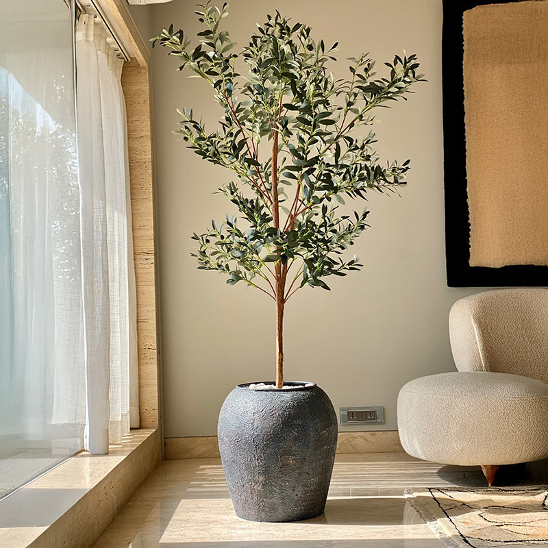 Buy Growtopia Iron Planter Pots & Planters from Vaaree