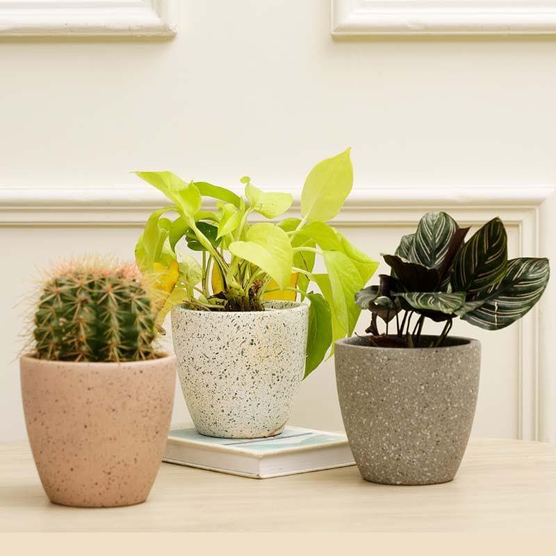 

Scarlett Textured Planters - Set Of Three, Grey;rose gold;white