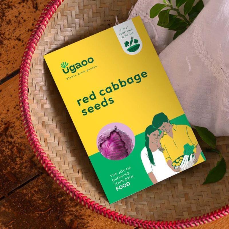 Buy Ugaoo Red Cabbage Seeds Seeds from Vaaree