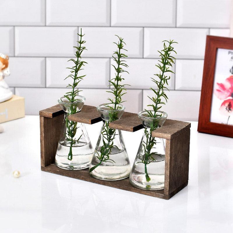 

Conical Glass Vase With Wooden Stand - Set Of Three, Transparent;brown