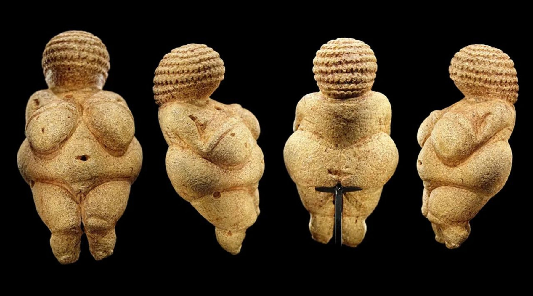The Venus of Willendorf or fertility goddess