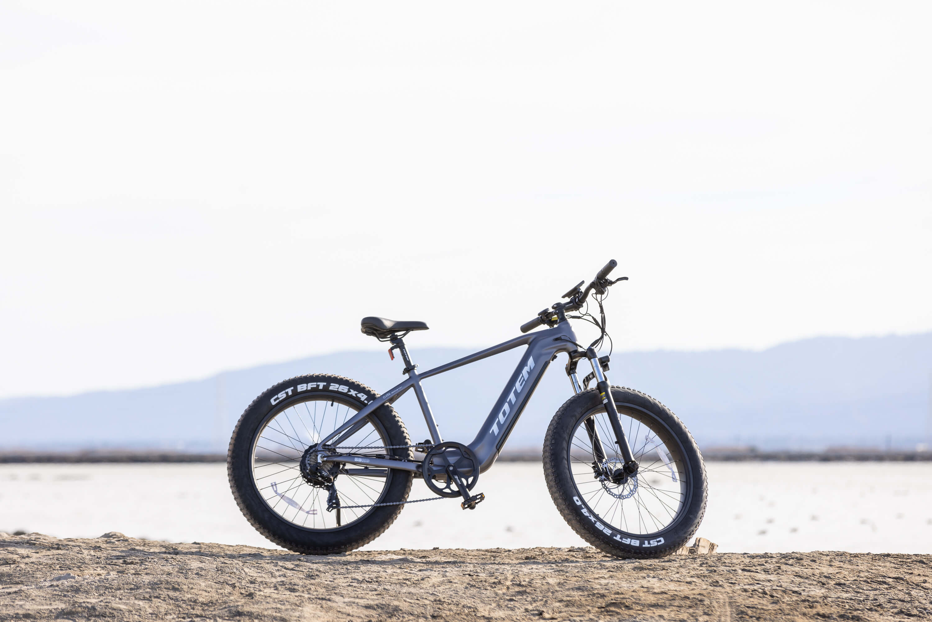 Bulldog Fat Tire Off-road Mountain Ebike.jpg__PID:2851518b-70aa-4d15-9ddc-47b0078f90a6