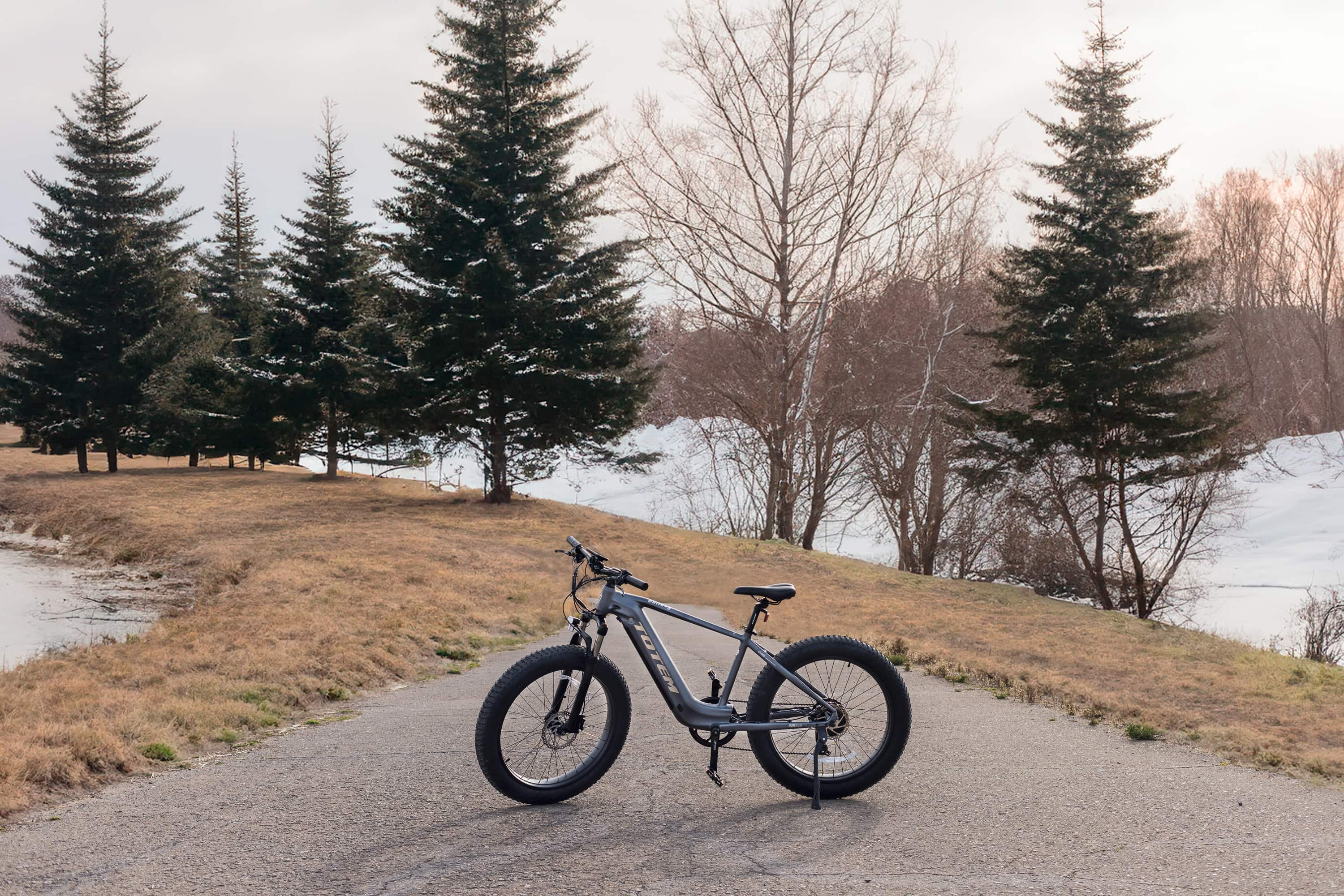 bulldog fat tire mountain ebike in snow.jpg__PID:650e57cb-b507-45e4-9e7d-d8d9338b3d64