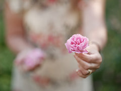 Rose de damas dans une main